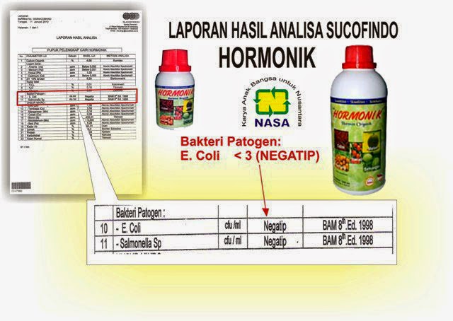HORMONIK | Hormon Organik Tanaman