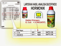 HORMONIK | Hormon Organik Tanaman