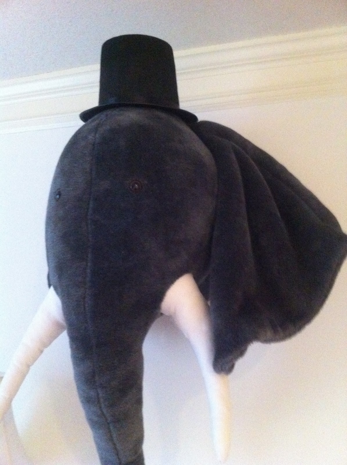 Elliot the Elephant wearing his trusty Abe Lincoln hat.