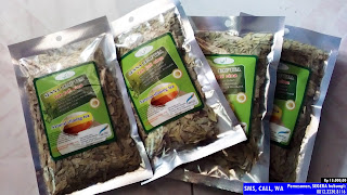 Obat Herbal Alami, Obat Diet Teh Jati Cina, Daun Jati Cina Untuk Diet, 0812.3230.8116