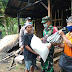 Bhakti Sosial  Babinsa Desa Sembiran, bagikan Paket sembako