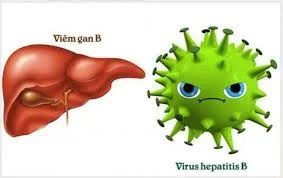 Tầm quan trọng của việc định lượng virus viêm gan B trong quá trình điều trị