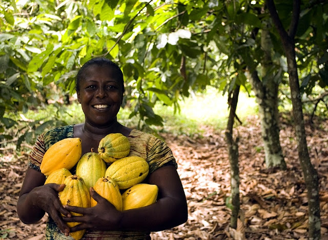 5 Importance Of Agribusinesses In Africa