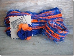 Florida Gators Accessories