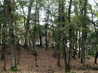 L'ermita de Sant Ponç enmig del bosc