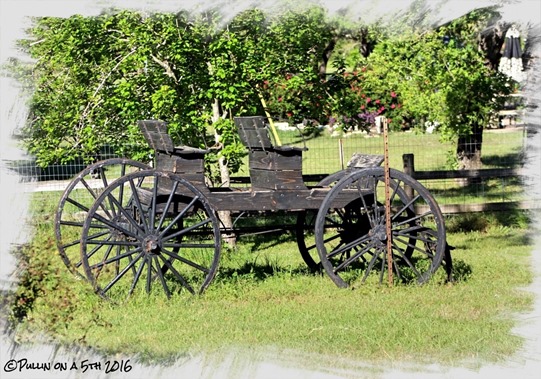 thumb_IMG_0985_1024_Fotor_Fotor
