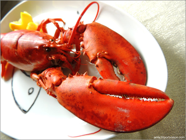 Primer Plato de Mi Cena de San Valentín: Langosta