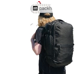 Image showing The Aer Travel Pack 2