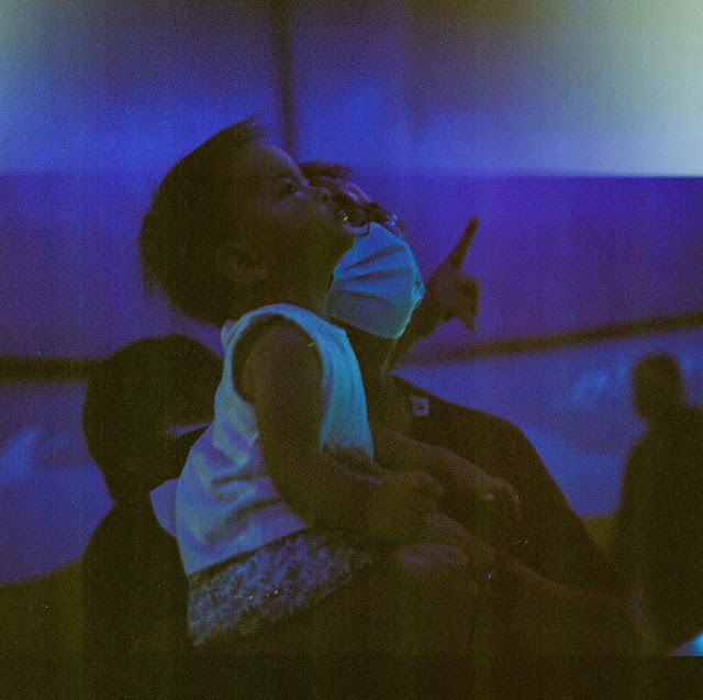 Bringing Babies; A review of S.E.A. Aquarium, Sentosa with Kids