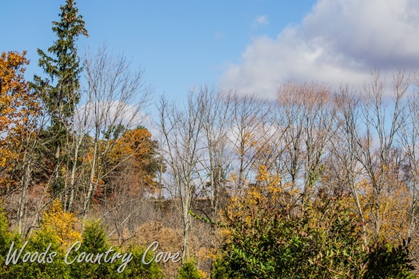 OCTOBER 2015 (16 of 16)-2