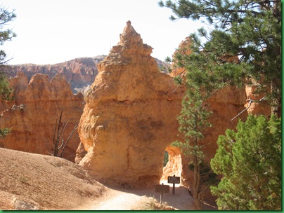 Navajo & Queens Garden trails 198