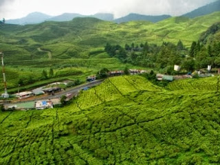 Tempat Wisata Di Puncak Bogor, Jawa Barat 7