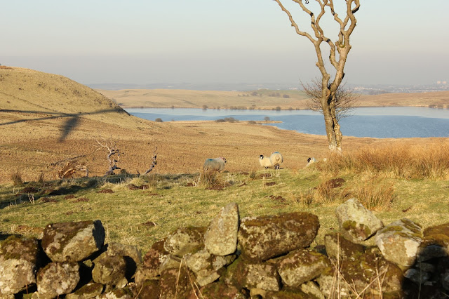 White lee, Wind farm