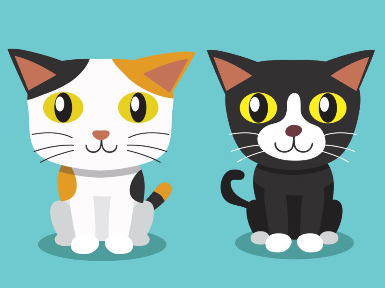 92 Gambar  Animasi  Lucu Kucing  Gambar  Pixabay