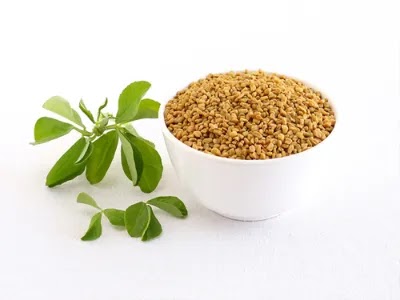 Ayurvedic Herbs for Acne in Hindi