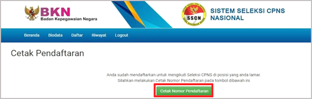 sistem seleksi cpns nasional 2019/2020