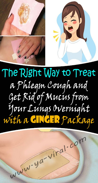 #Ginger #Wraps – #Treats #Bad #Cough And #Removes #Mucus #From The #Lungs in One #Night! 