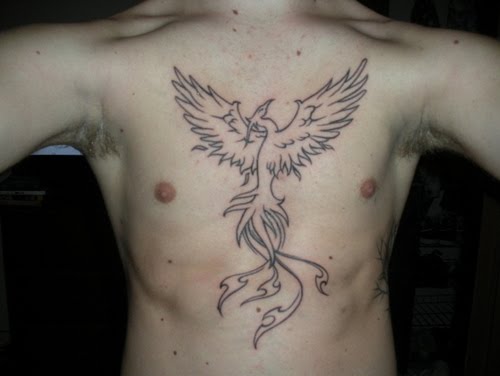 phoenix tattoo chest