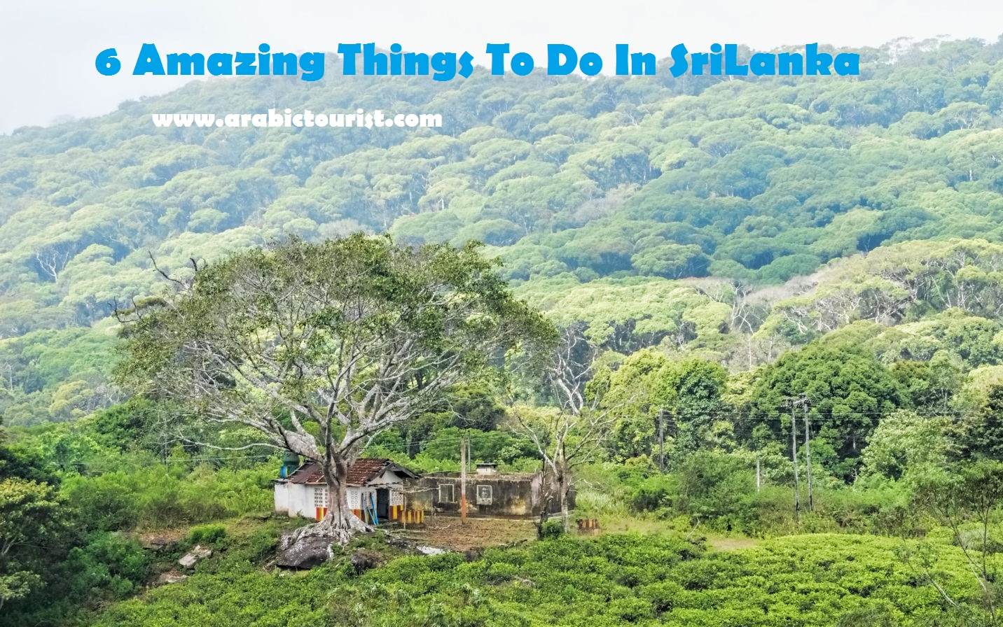 6 Amazing Things To Do In SriLanka