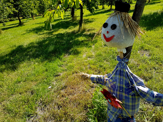 Rodzinne atrakcje na Dolnym Śląsku - Arboretum w Wojsławicach - podróże z dzieckiem. 