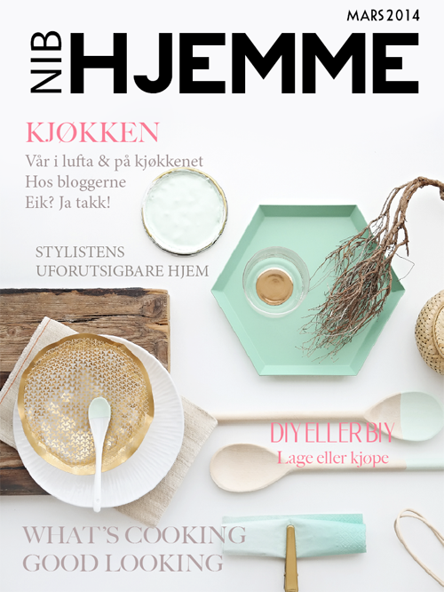 http://issuu.com/norskeinteriorblogger/docs/nib_hjemme_mars_2014/3?e=3849067/7039540