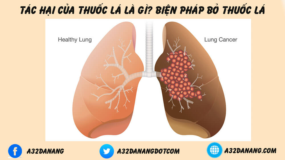 tác hại của thuốc lá là gì?