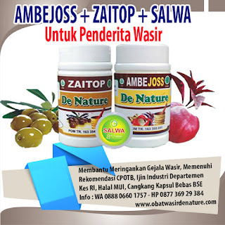 Obat Wasir Berdarah Ampuh