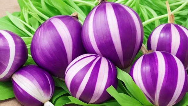 Purple Onion Benefits