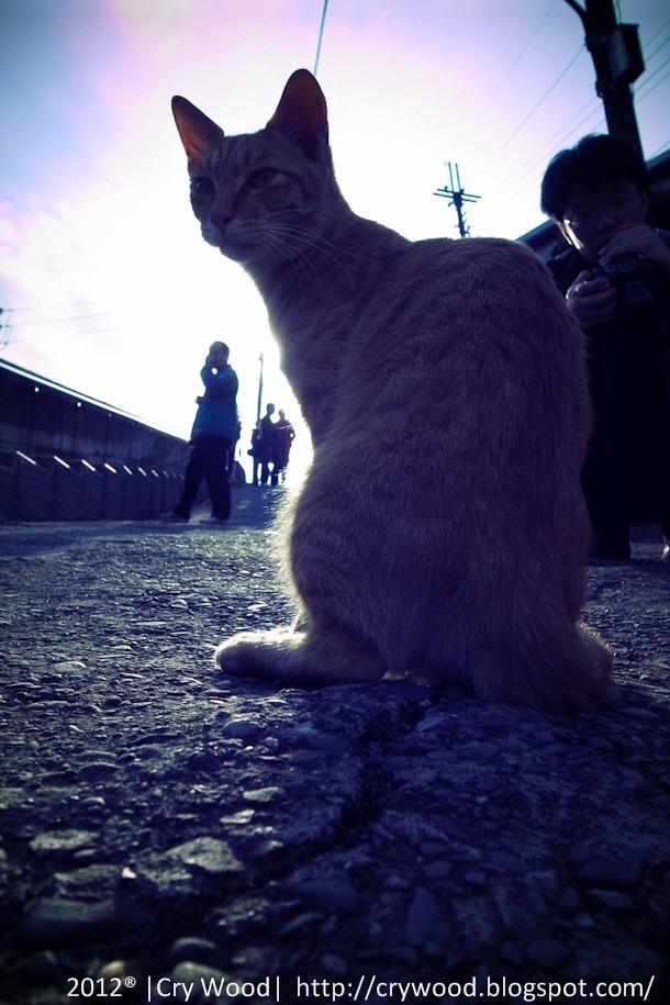 Exif_JPEG_PICTURE