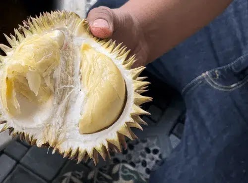 Durian-kampung