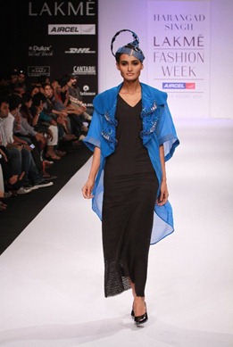Day5 at LFS summer-resort 2011 by Harangad Singh