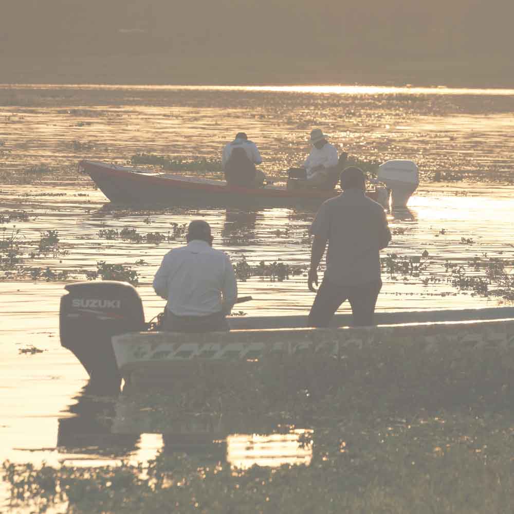 fishing fishing image
