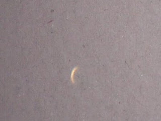 The acute crescent in the pin-hole camera