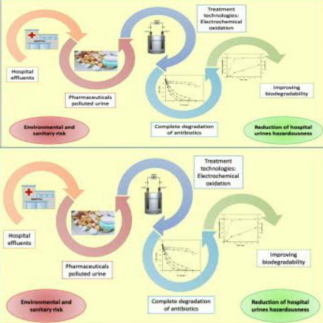 BACTERIAL ANALYSIS OF URINE POLLUTED ENVIRONMENT IN FEDERAL POLYTECHNIC NEKEDE, OWERRI