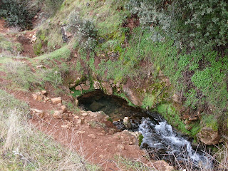 Campechos, Montiel, Campo de Montiel, Ciudad Real, Castilla la Mancha, Spain