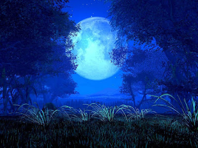 luna-azul-18-1024x768.jpg