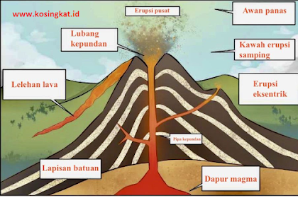 Kunci Jawaban IPA Kelas 8 Halaman 197