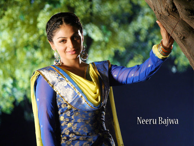 Famous Punjabi Actress Neeru Bajwa HQ Wallpapers