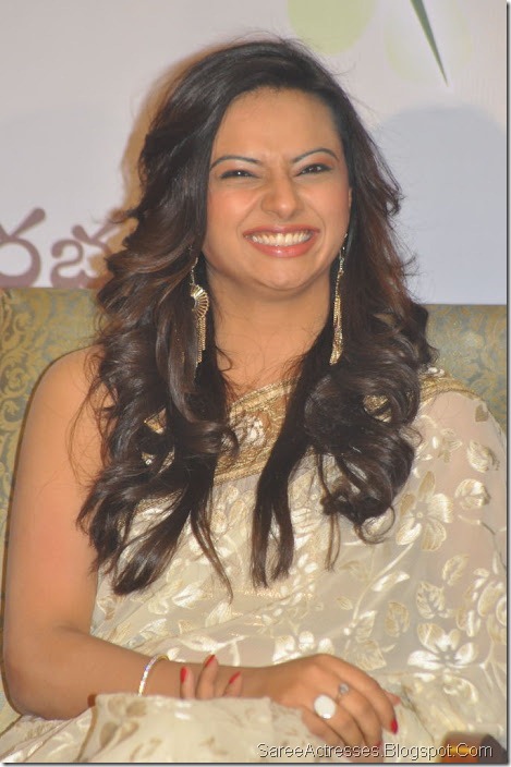 Isha Chawla Hot in Golden Saree 12
