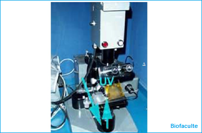 Le microscope à fluorescence