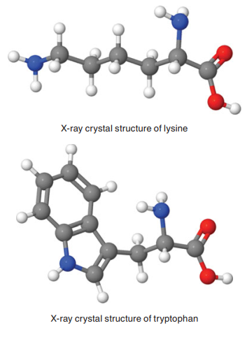 X-ray crystal structure of lysine X-ray crystal structure of tryptophan