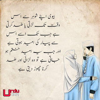 Husband Wife Quotes in Urdu