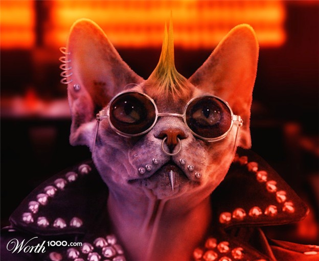 Gambar anjing lucu