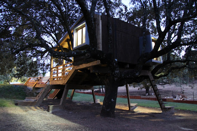 Casa na árvore enraizada