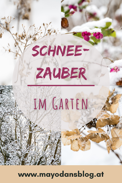 Garten mit Schnee