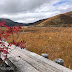 Gunma: How to enjoy the Autumn Foliage at Oze National Park