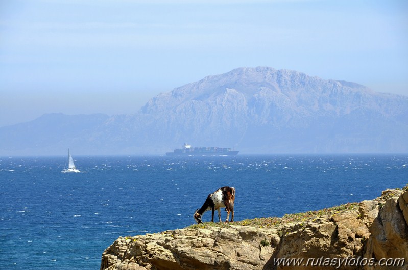 De Pelayo a Tarifa por la Colada de la Costa