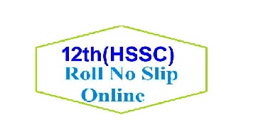 HSSC - II 12th Class Annual Examination 2021 Roll No Slip Download  