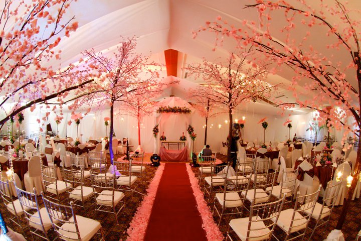 Cherry Blossom Decoration Ideas