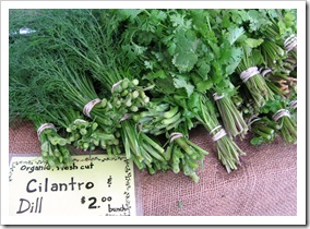 dill and cilanto